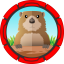 Gofer